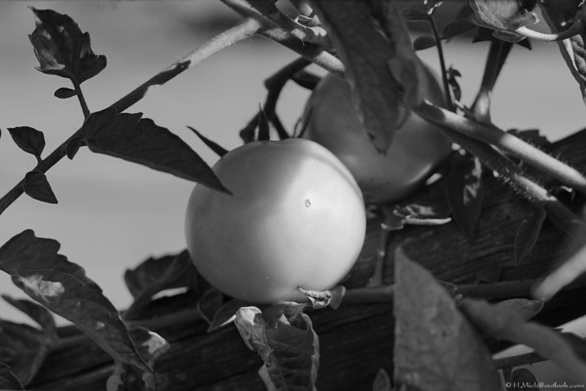 Studio-One.Art.br Repo Fotografia em Rio Preto SP/Brasil