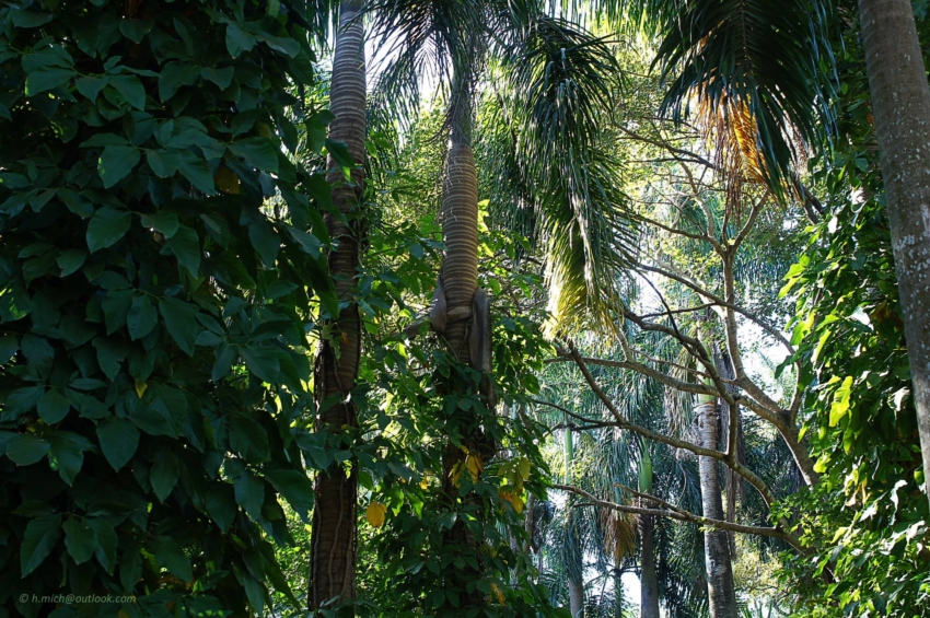 Studio-One.Art.br Repo Fotografia em Rio Preto SP/Brasil