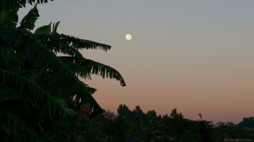 Studio-One.Art.br Repo Fotografia em Rio Preto SP/Brasil