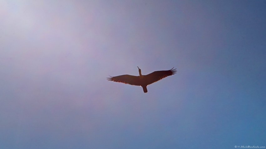 Studio-One.Art.br Repo Fotografia em Rio Preto SP/Brasil