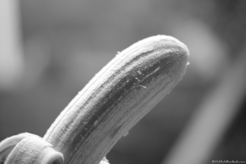 Studio-One.Art.br Repo Fotografia em Rio Preto SP/Brasil