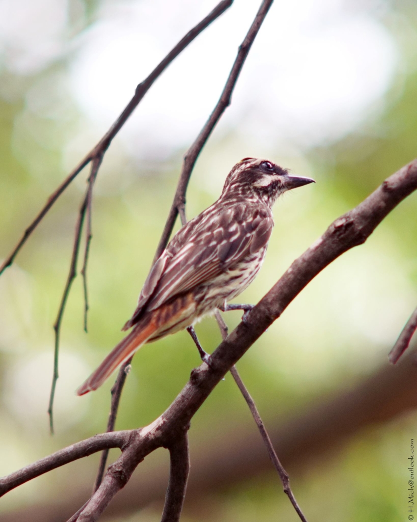 Studio-One.Art.br Repo Fotografia em Rio Preto SP/Brasil