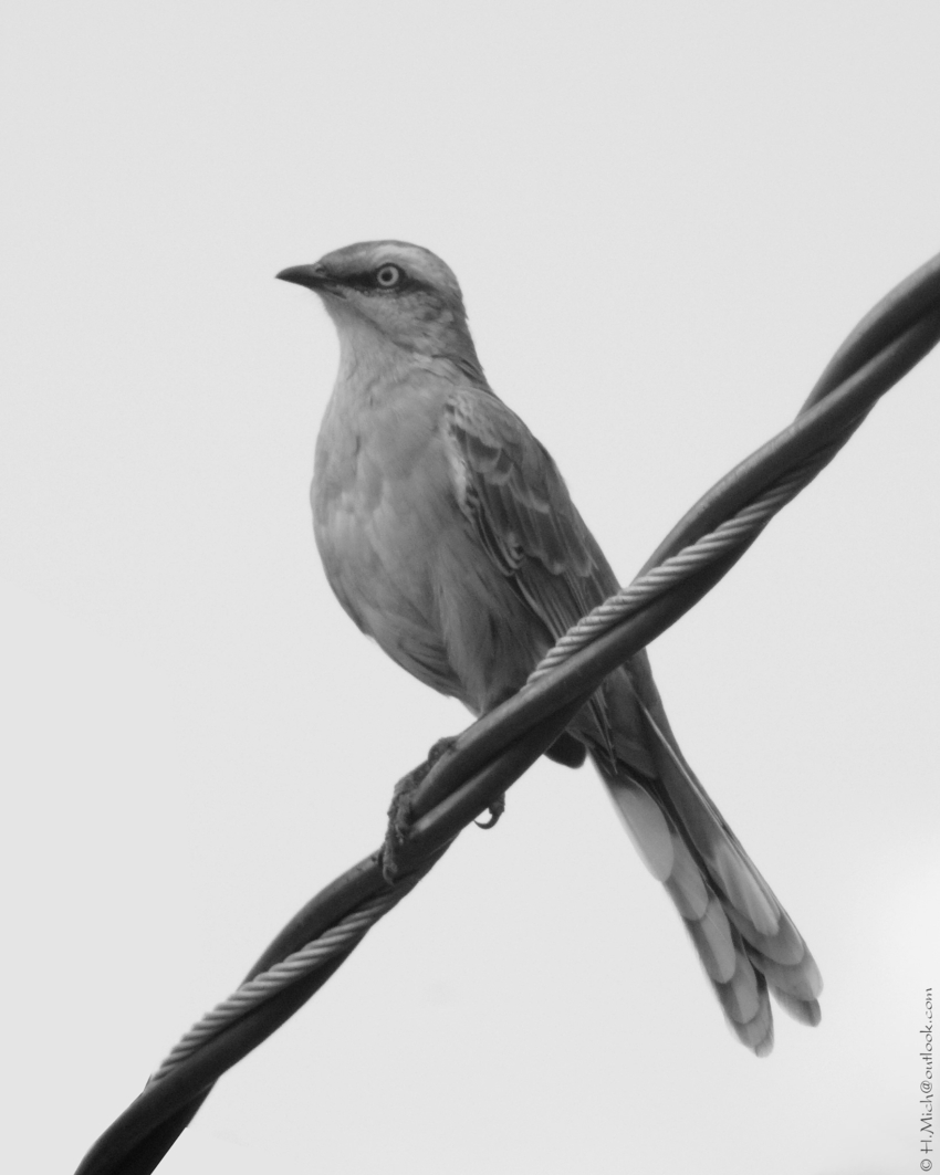 Studio-One.Art.br Repo Fotografia em Rio Preto SP/Brasil