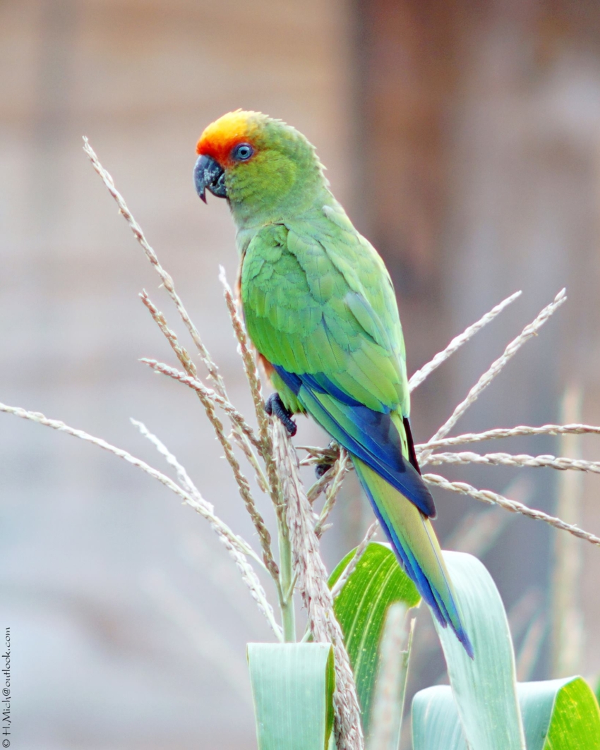 Studio-One.Art.br Repo Fotografia em Rio Preto SP/Brasil