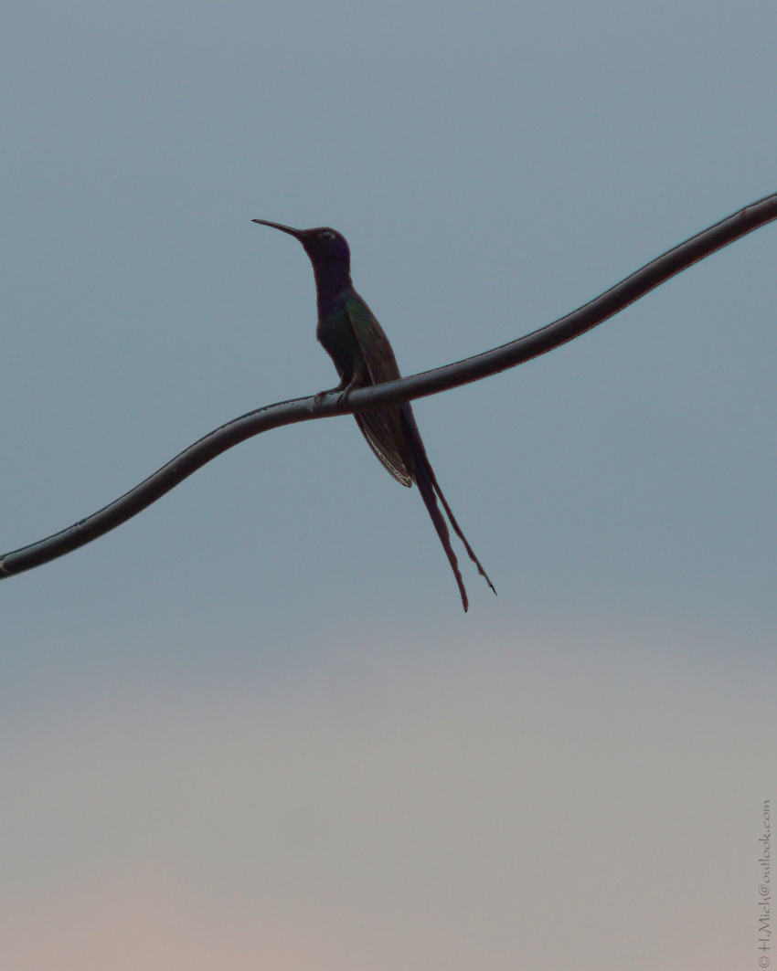 Studio-One.Art.br Repo Fotografia em Rio Preto SP/Brasil