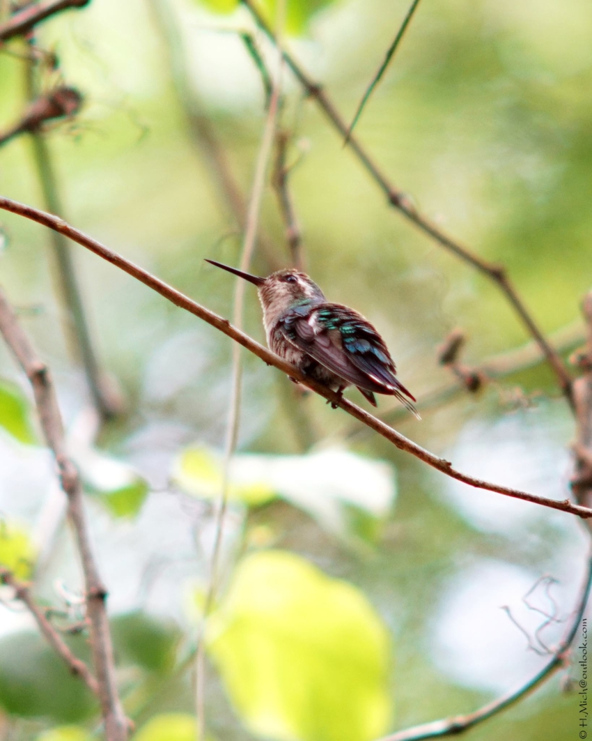 Studio-One.Art.br Repo Fotografia em Rio Preto SP/Brasil