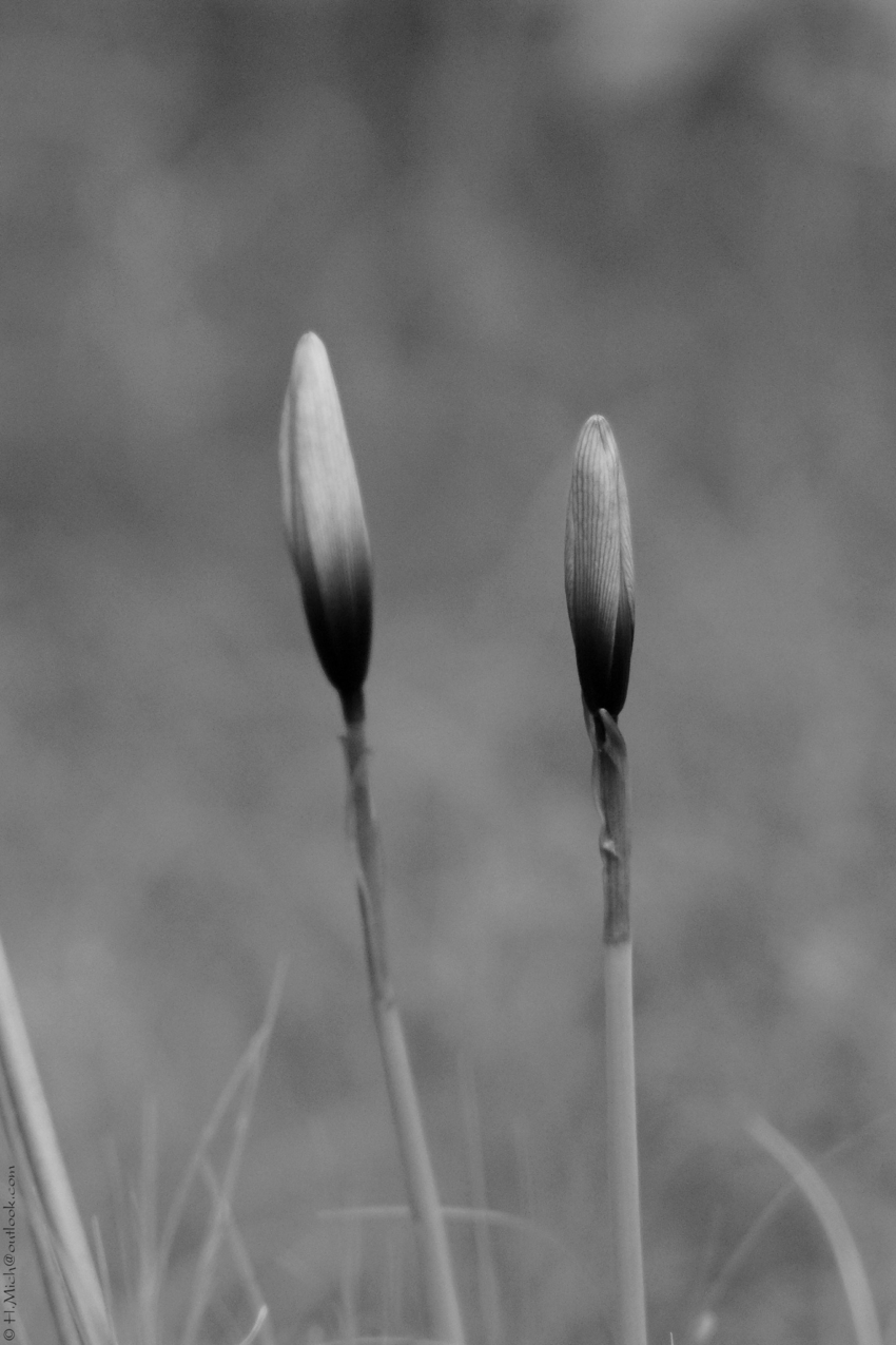 Studio-One.Art.br Repo Fotografia em Rio Preto SP/Brasil