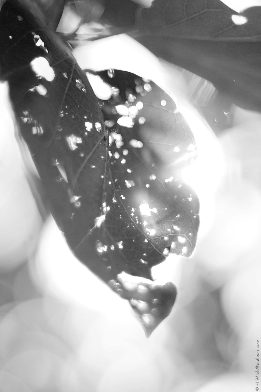 Studio-One.Art.br Repo Fotografia em Rio Preto SP/Brasil