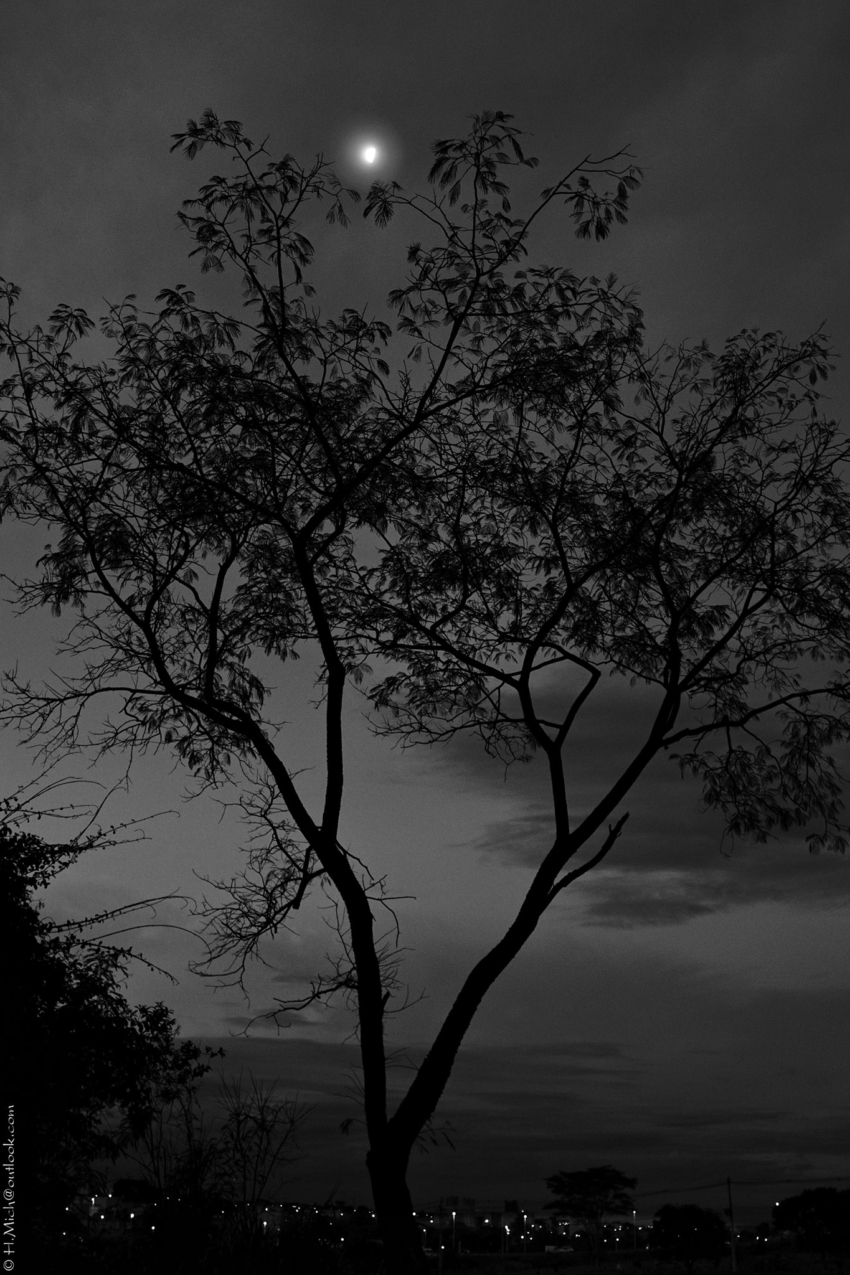 Studio-One.Art.br Repo Fotografia em Rio Preto SP/Brasil