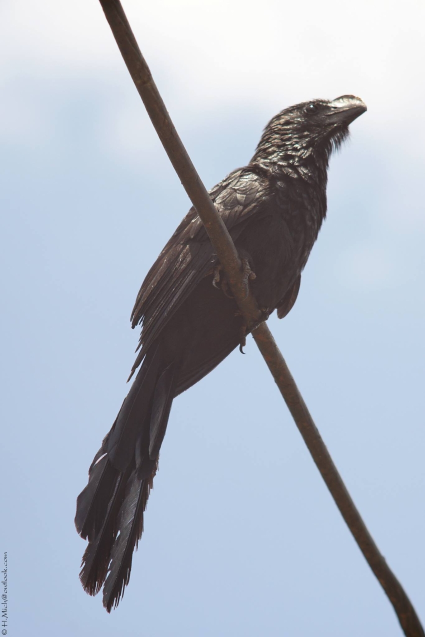 Studio-One.Art.br Repo Fotografia em Rio Preto SP/Brasil