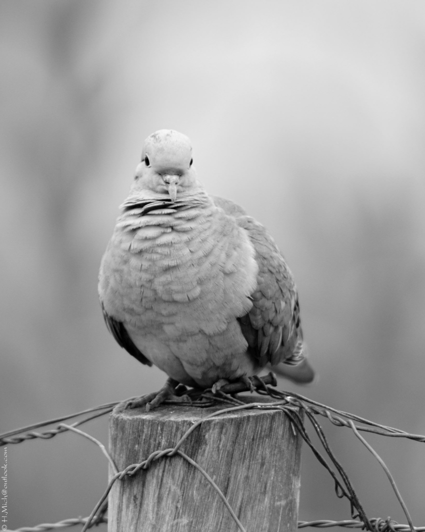 Studio-One.Art.br Repo Fotografia em Rio Preto SP/Brasil