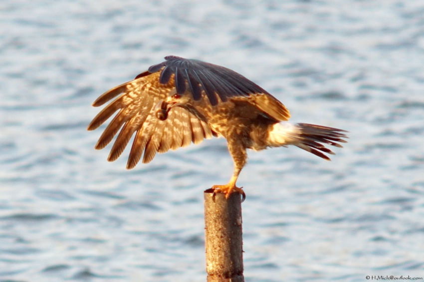 Studio-One.Art.br Repo Fotografia em Rio Preto SP/Brasil