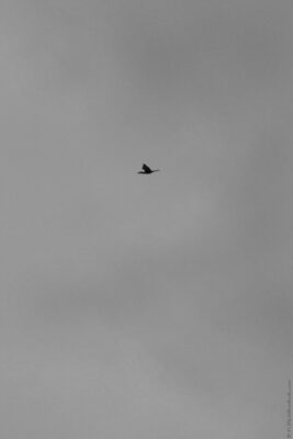 2022 06 15(322)