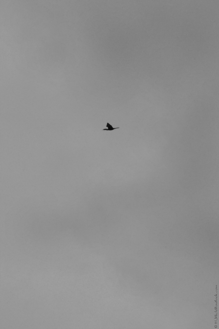 Studio-One.Art.br Repo Fotografia em Rio Preto SP/Brasil