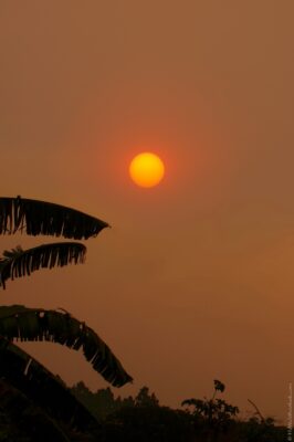 2022 06 15(322)