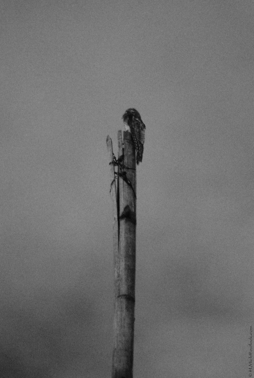 Studio-One.Art.br Repo Fotografia em Rio Preto SP/Brasil