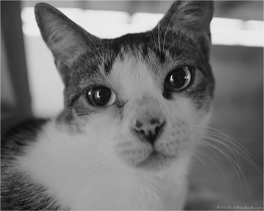 Studio-One.Art.br Repo Fotografia em Rio Preto SP/Brasil