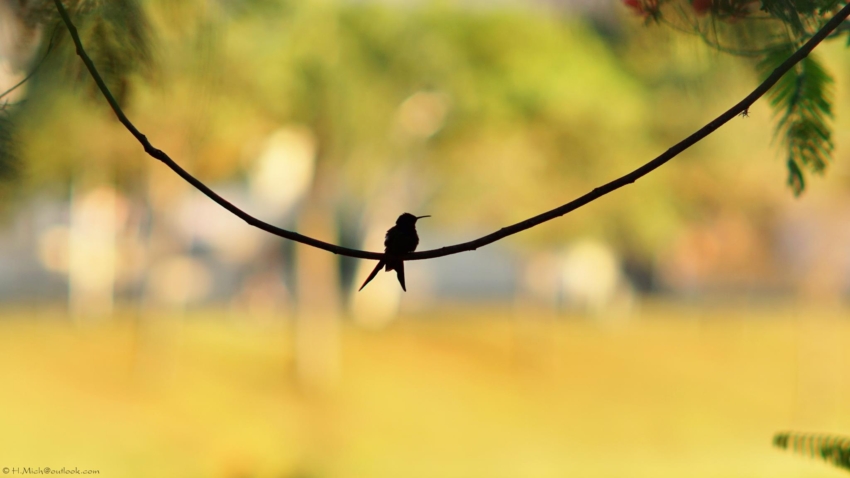 Studio-One.Art.br Repo Fotografia em Rio Preto SP/Brasil