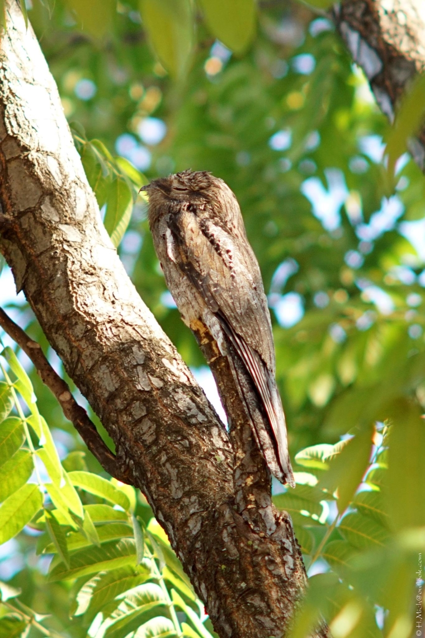 Studio-One.Art.br Repo Fotografia em Rio Preto SP/Brasil