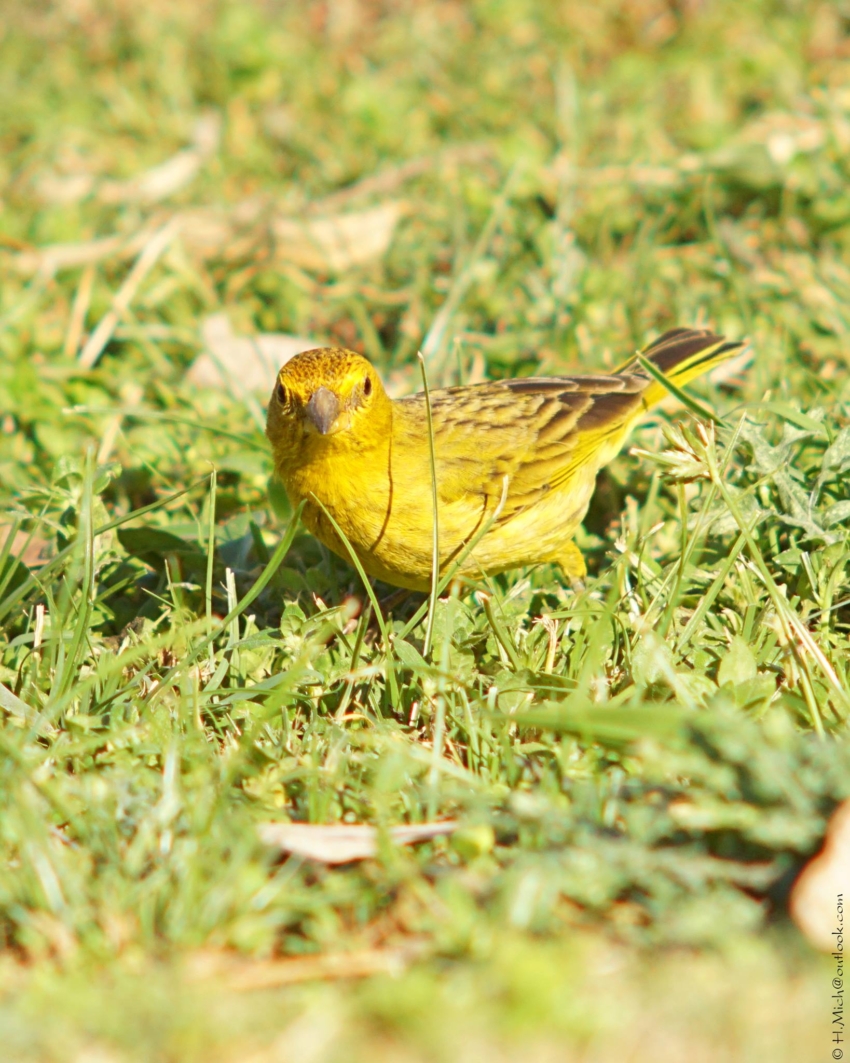 Studio-One.Art.br Repo Fotografia em Rio Preto SP/Brasil
