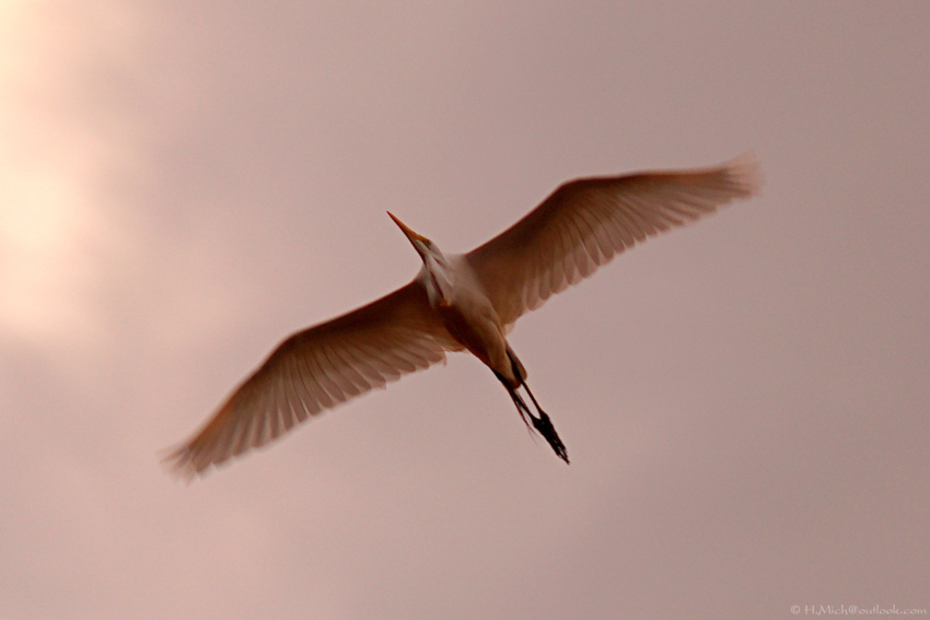 Studio-One.Art.br Repo Fotografia em Rio Preto SP/Brasil