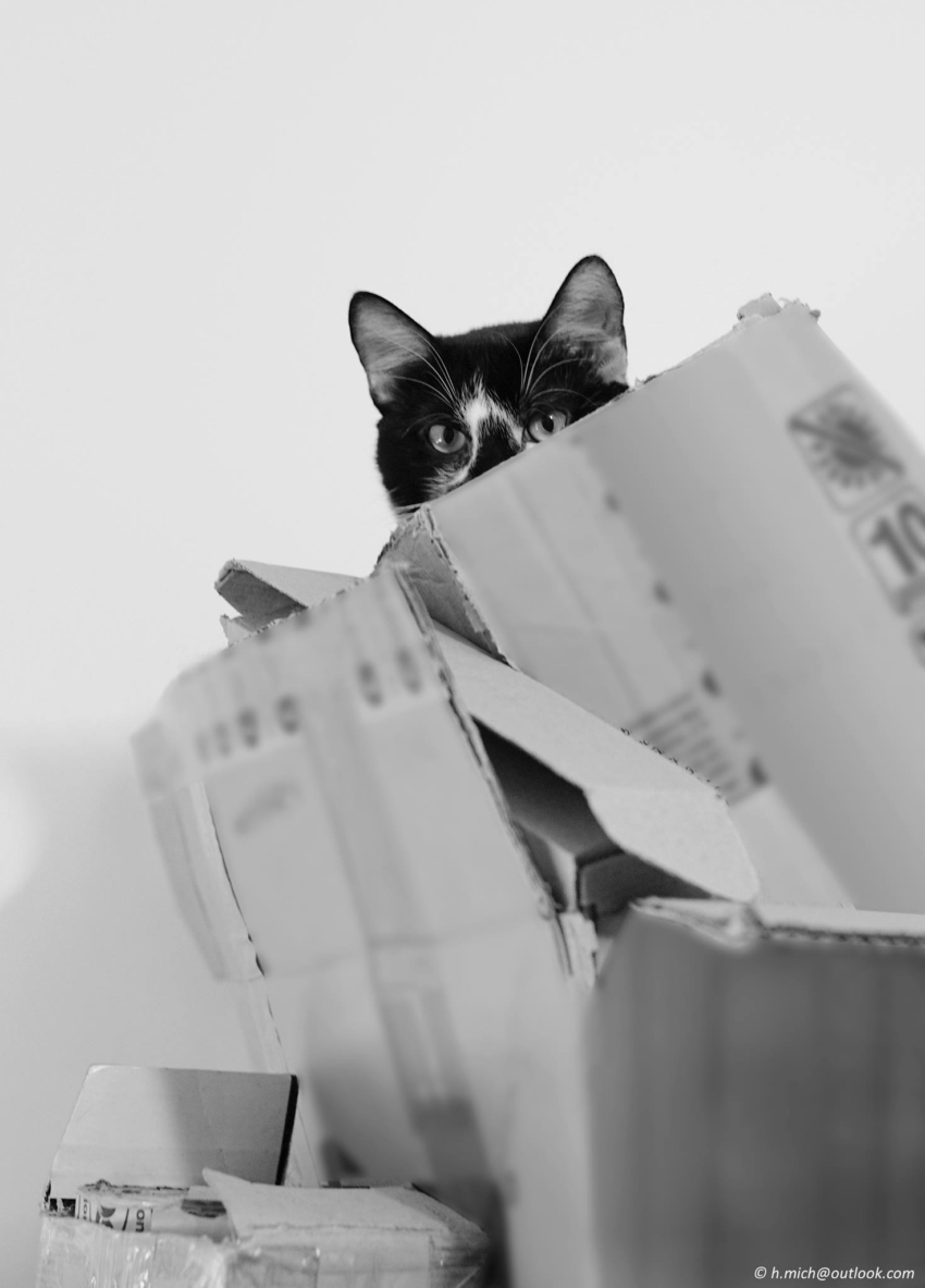 Studio-One.Art.br Repo Fotografia em Rio Preto SP/Brasil