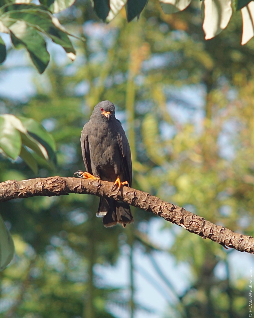 Studio-One.Art.br Repo Fotografia em Rio Preto SP/Brasil