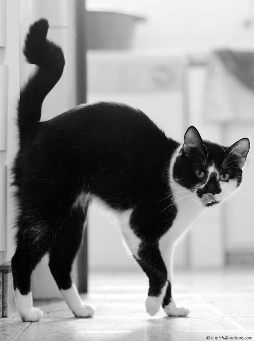 Studio-One.Art.br Repo Fotografia em Rio Preto SP/Brasil