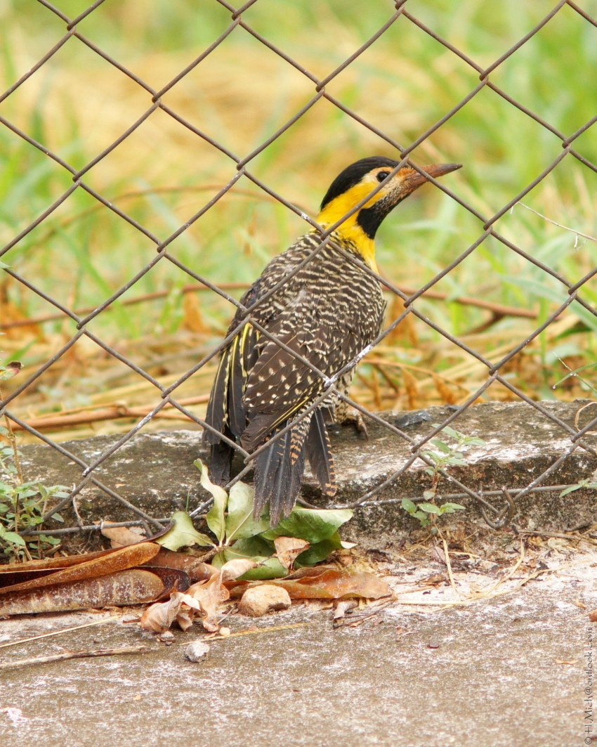 Studio-One.Art.br Repo Fotografia em Rio Preto SP/Brasil