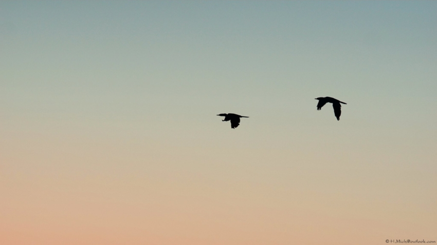 Studio-One.Art.br Repo Fotografia em Rio Preto SP/Brasil