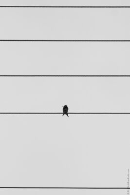 2022 06 15(329)