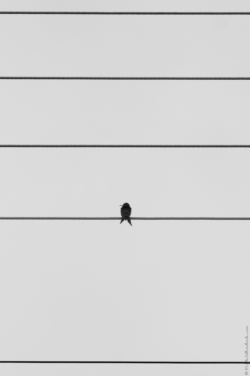 Studio-One.Art.br Repo Fotografia em Rio Preto SP/Brasil