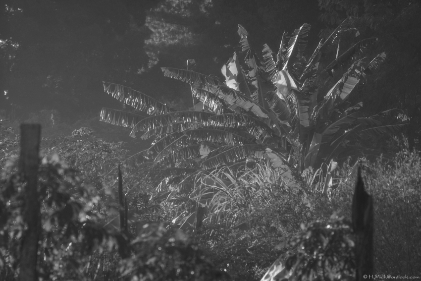 Studio-One.Art.br Repo Fotografia em Rio Preto SP/Brasil