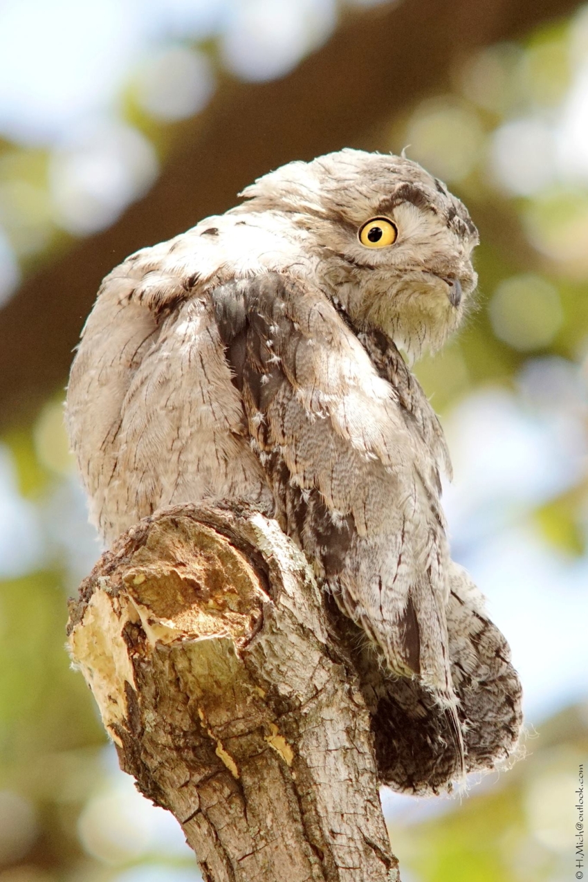 Studio-One.Art.br Repo Fotografia em Rio Preto SP/Brasil