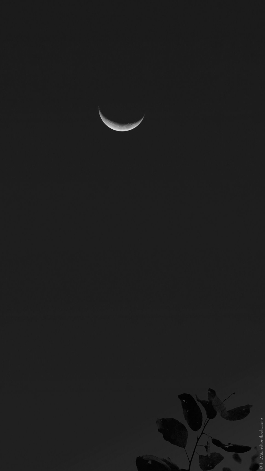 Studio-One.Art.br Repo Fotografia em Rio Preto SP/Brasil