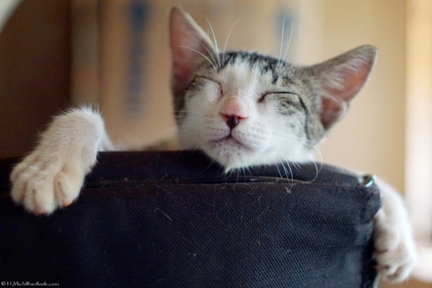 Studio-One.Art.br Repo Fotografia em Rio Preto SP/Brasil