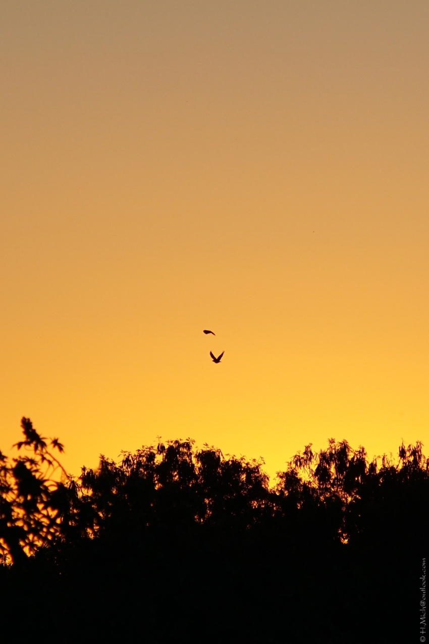 Studio-One.Art.br Repo Fotografia em Rio Preto SP/Brasil