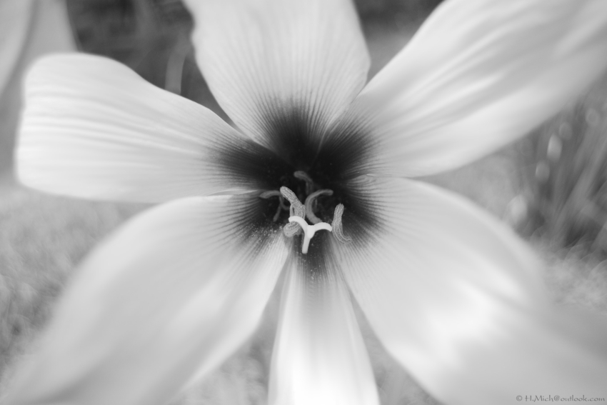 Studio-One.Art.br Repo Fotografia em Rio Preto SP/Brasil