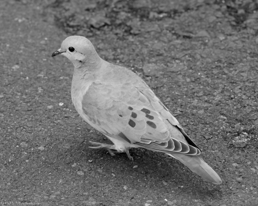 Studio-One.Art.br Repo Fotografia em Rio Preto SP/Brasil