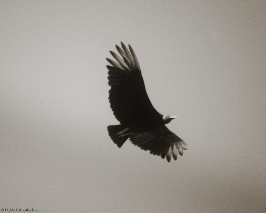 Studio-One.Art.br Repo Fotografia em Rio Preto SP/Brasil