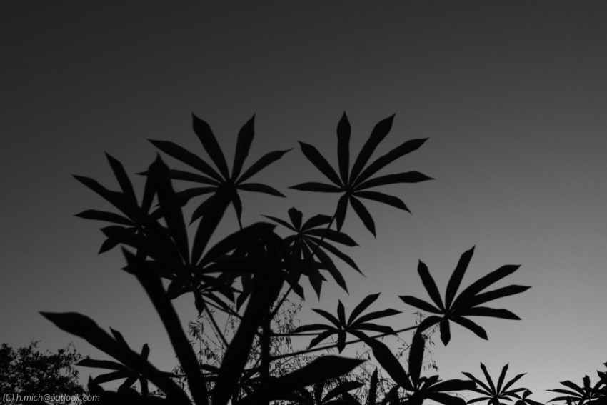 Studio-One.Art.br Repo Fotografia em Rio Preto SP/Brasil