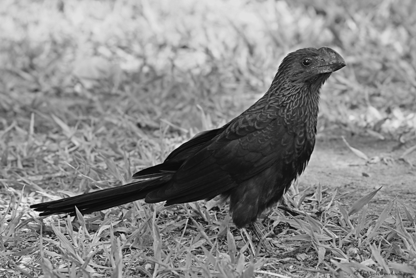 Studio-One.Art.br Repo Fotografia em Rio Preto SP/Brasil