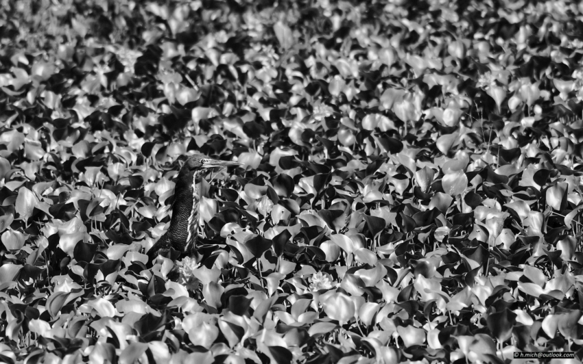 Studio-One.Art.br Repo Fotografia em Rio Preto SP/Brasil