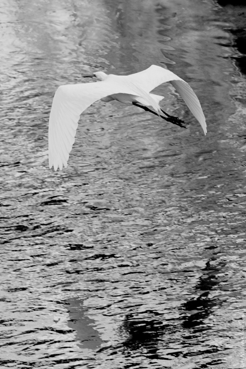 Studio-One.Art.br Repo Fotografia em Rio Preto SP/Brasil