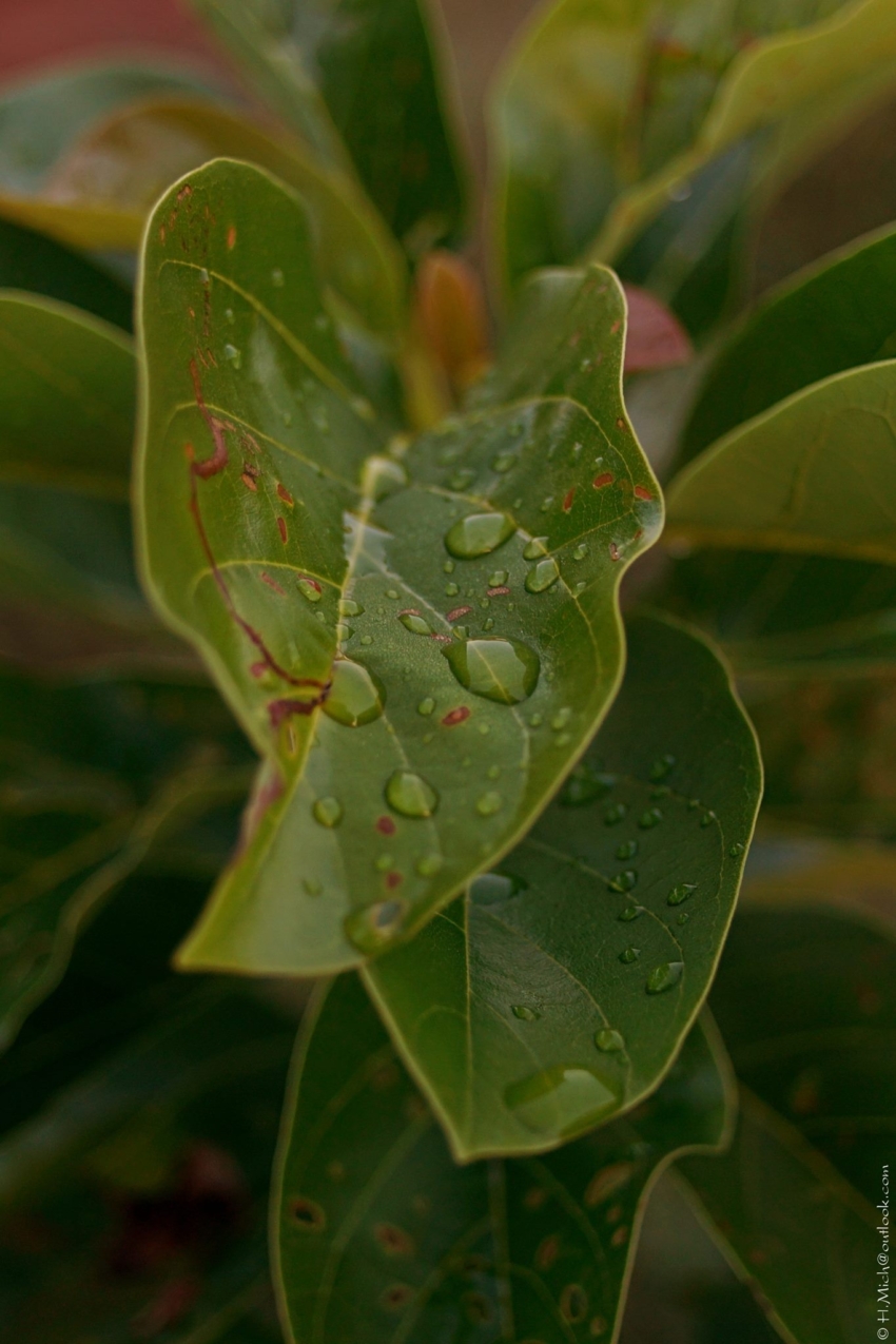 Studio-One.Art.br Repo Fotografia em Rio Preto SP/Brasil