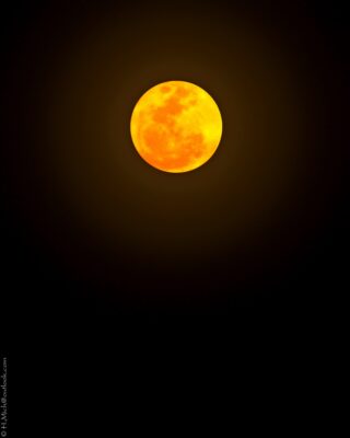 2022 06 15(337)