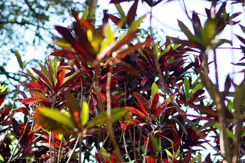 Studio-One.Art.br Repo Fotografia em Rio Preto SP/Brasil