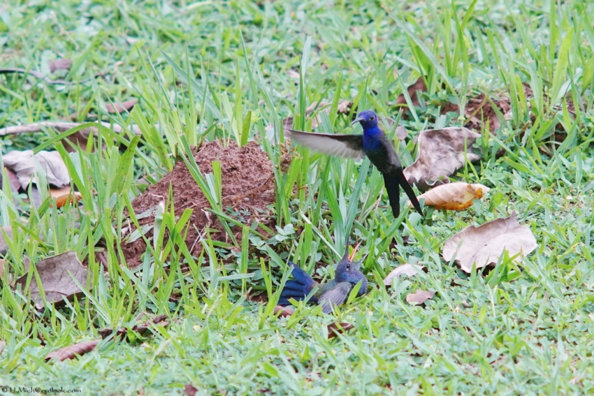 Studio-One.Art.br Repo Fotografia em Rio Preto SP/Brasil