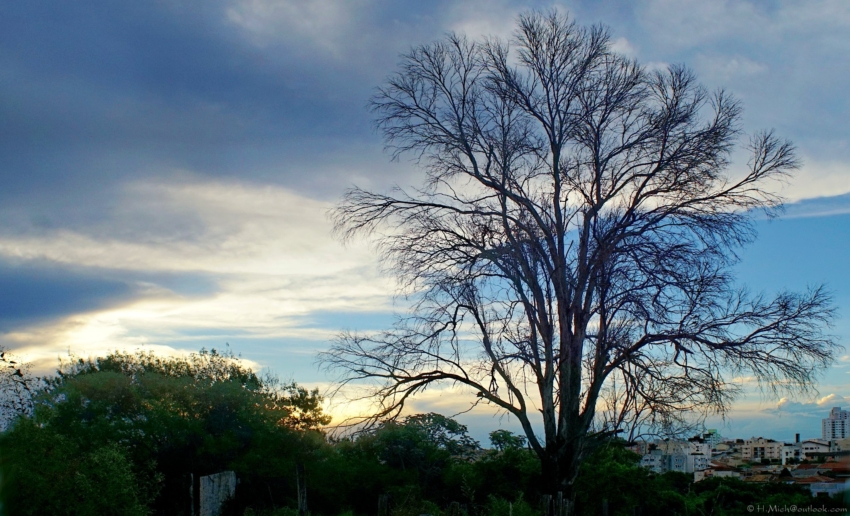 Studio-One.Art.br Repo Fotografia em Rio Preto SP/Brasil