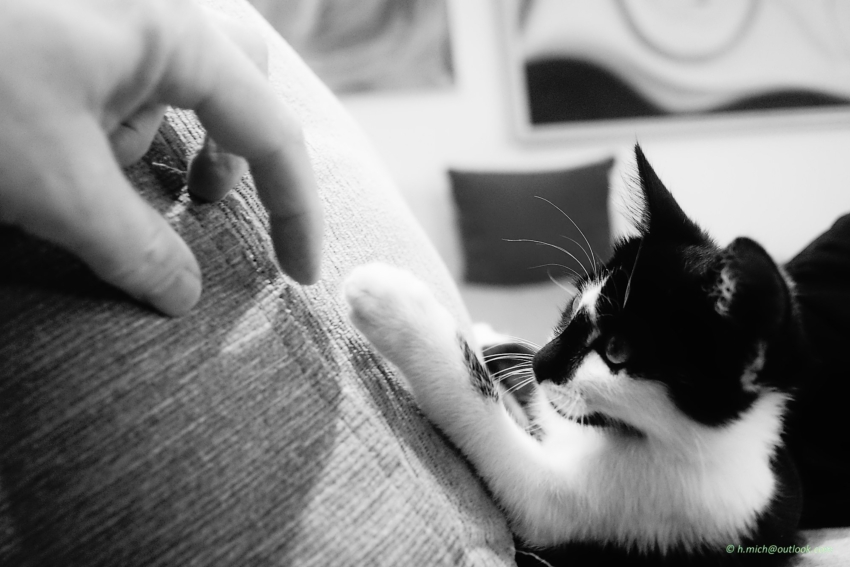 Studio-One.Art.br Repo Fotografia em Rio Preto SP/Brasil